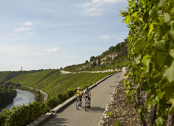 Neckartal-Radweg, zwei Radfahrer in der Kulisse der Hessigheimer Felsengärten