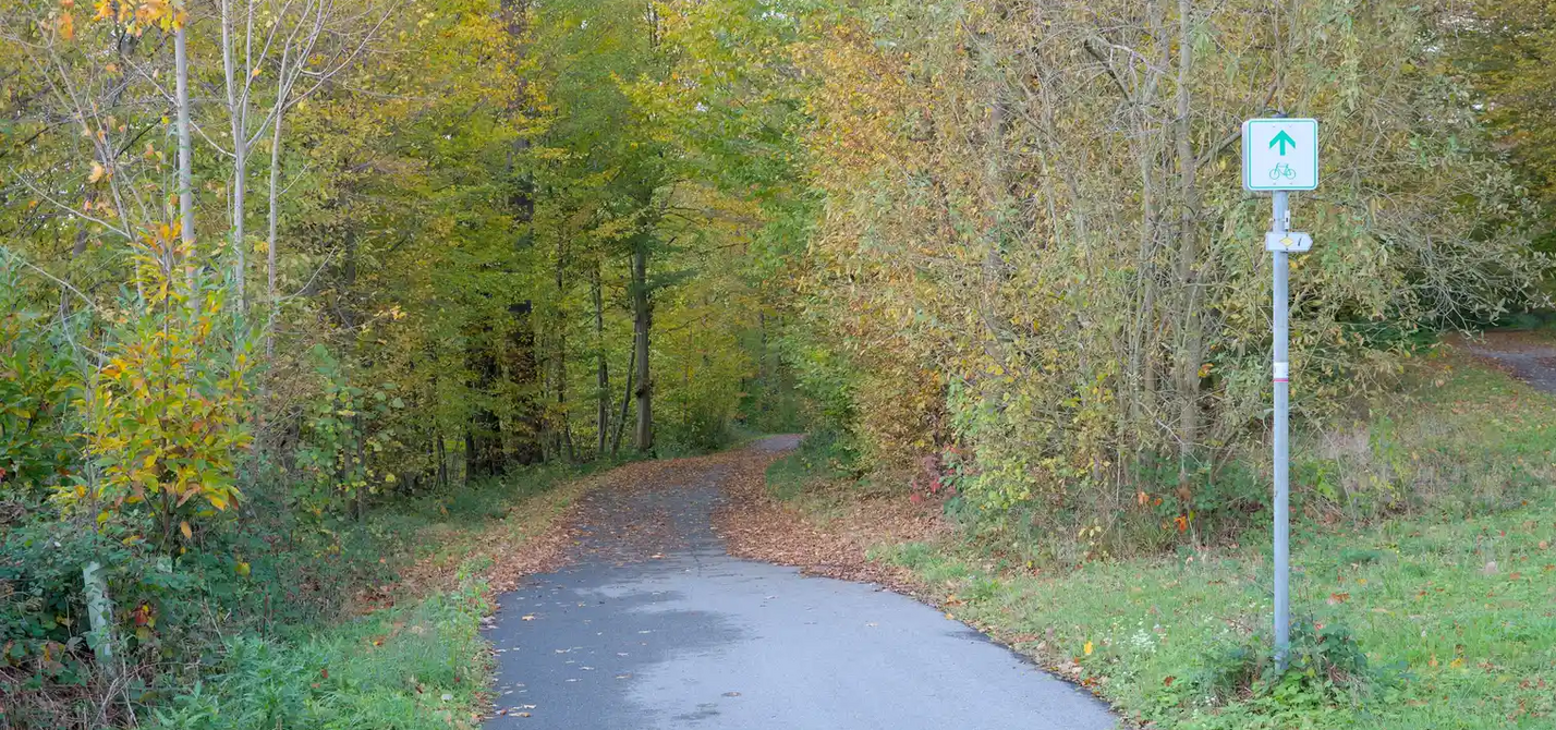 Foto eines asphaltierten Wegs mit grün-weißem Zwischenwegweiser, der in einen Wald führt und dort von Laub bedeckt ist