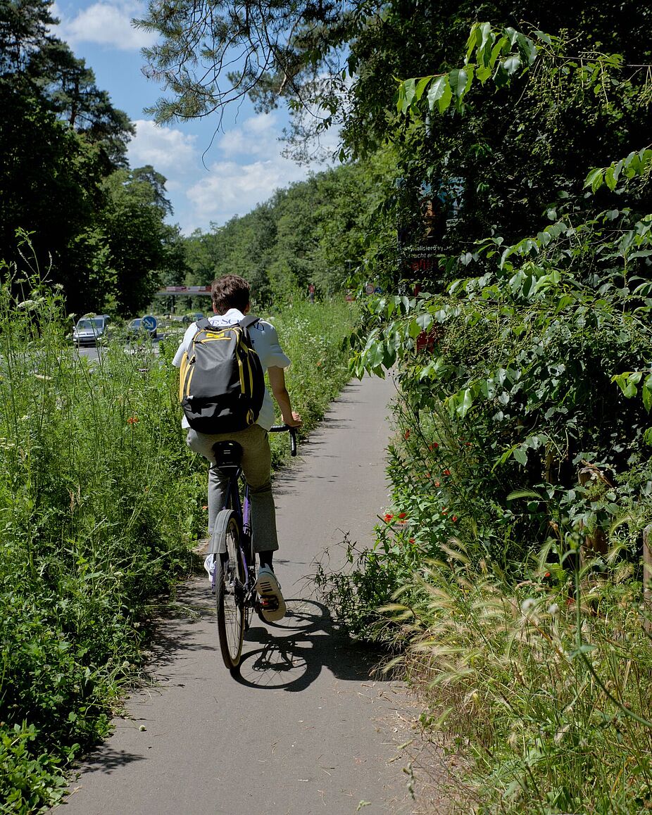 Geh- und Radweg am Adenauerring zwischen Friedrichstaler Allee und Grabener Allee westwärts