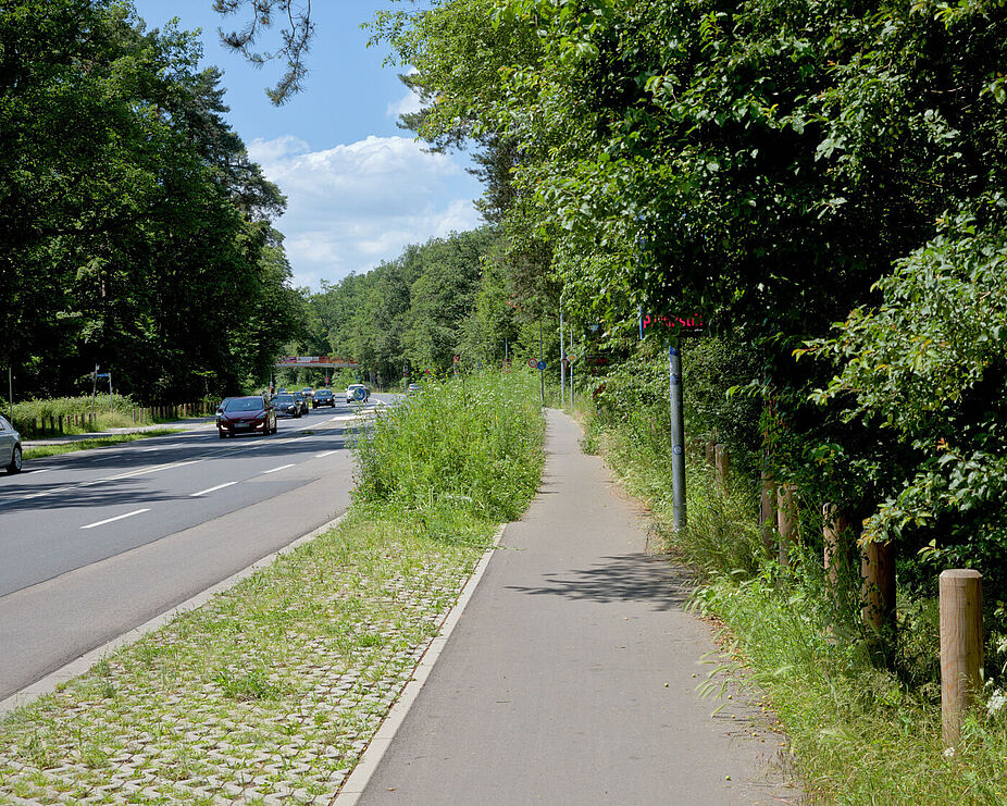 Geh- und Radweg am Adenauerring zwischen Friedrichstaler Allee und Grabener Allee westwärts